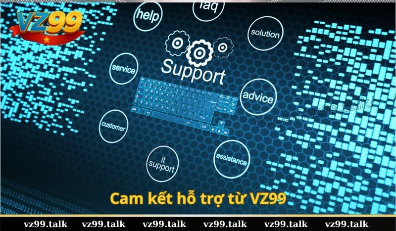 Cam kết hỗ trợ từ VZ99